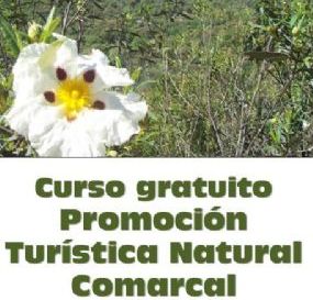Curso promoción turística comarcal
